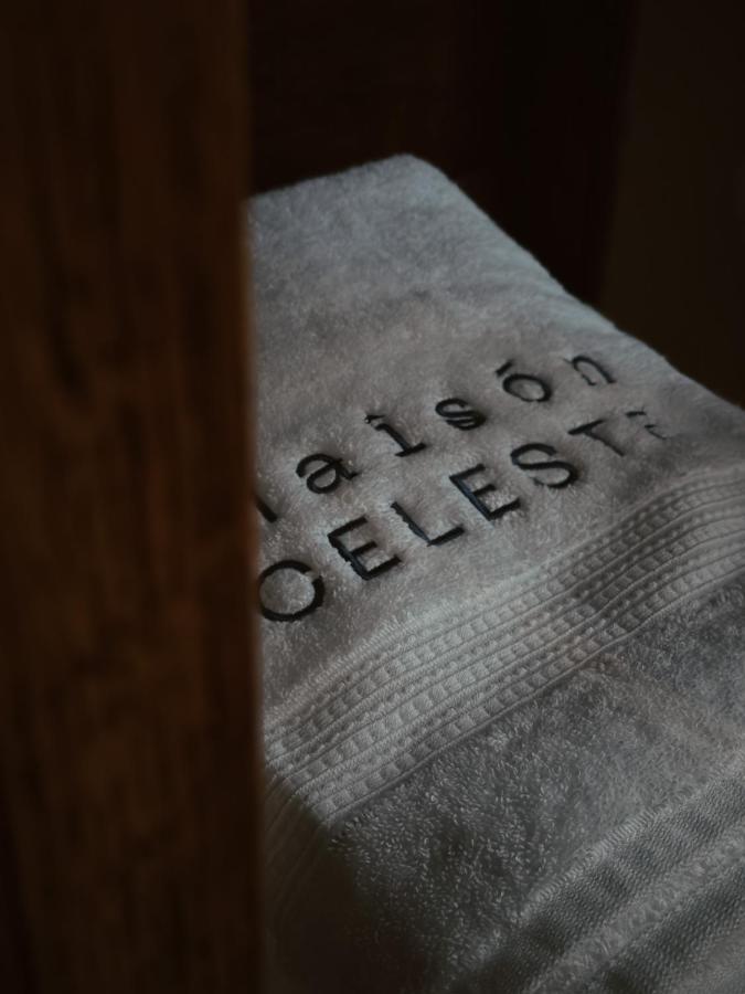 Maison Celeste Mexico City Ngoại thất bức ảnh